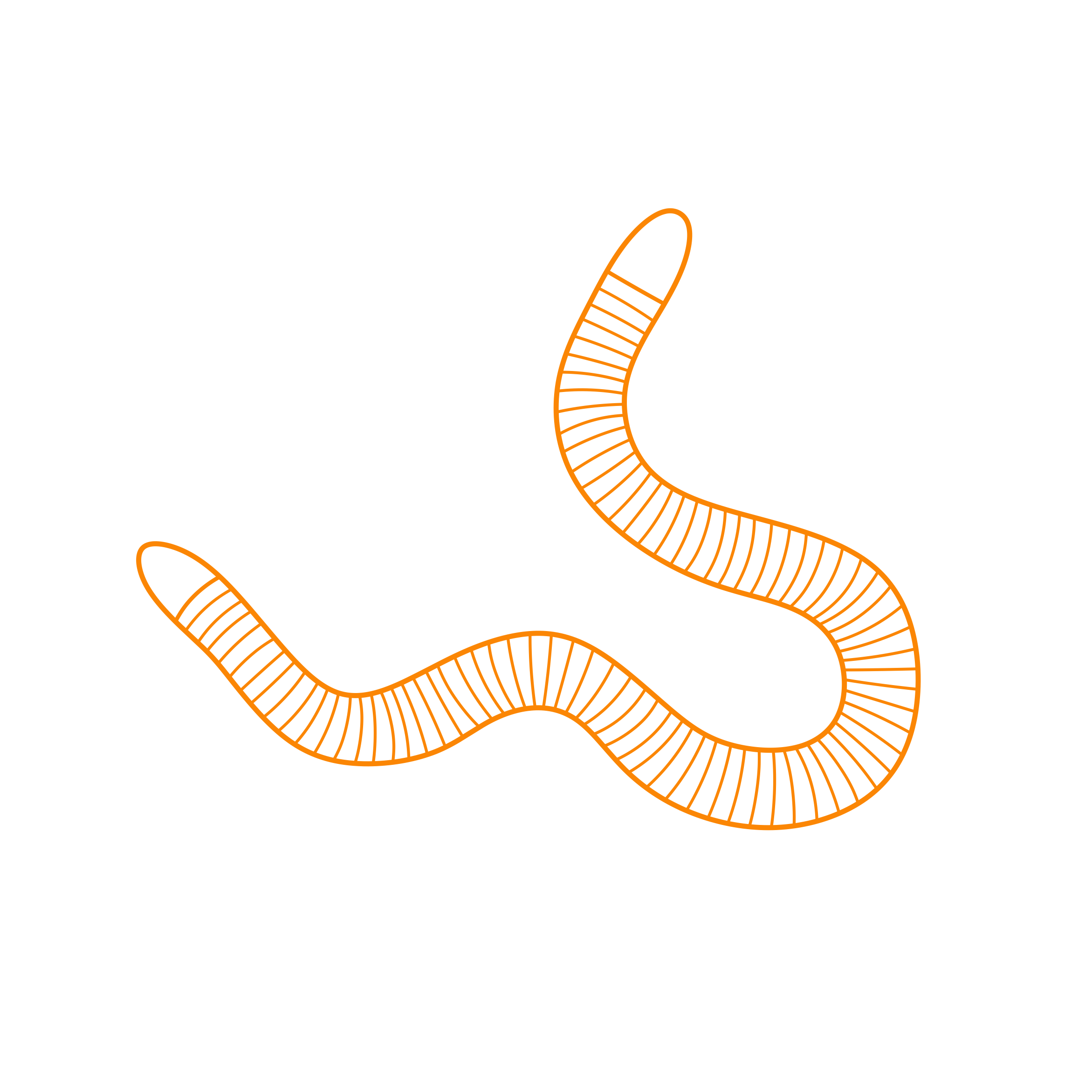 Animals Caecilians Ringed Caecilian Outline Icon Svg Set Free Vectors